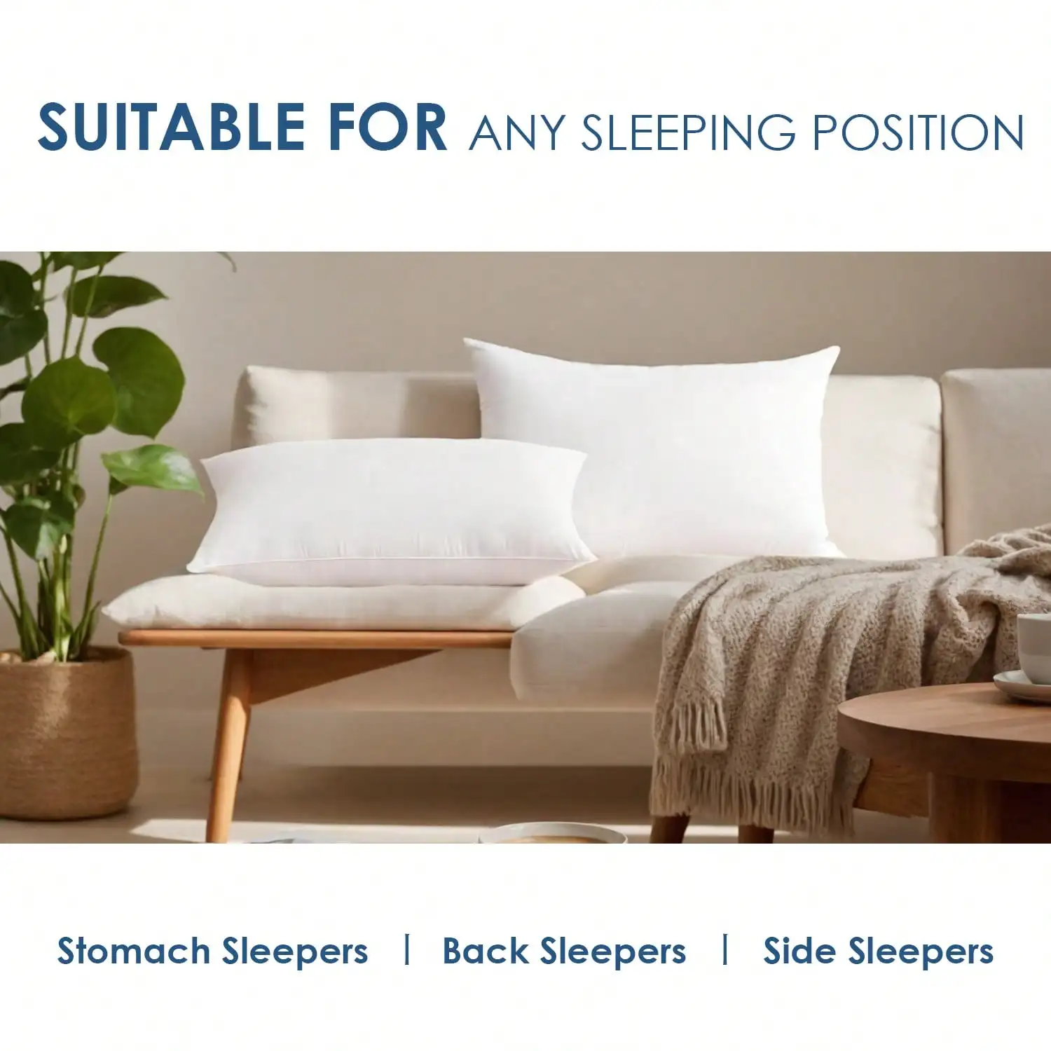 Verpakking met 2 en 4 stuks: 1 - Pillow Insert 18X18 recensie en prijs